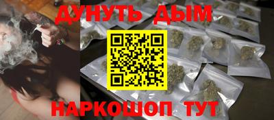 сатива Будённовск