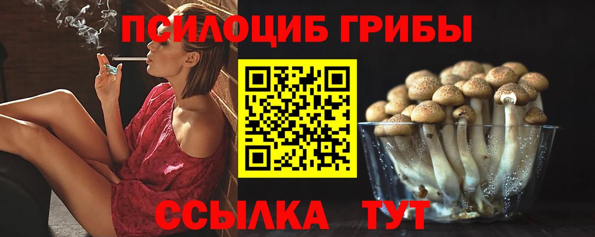 Псилоцибиновые грибы Psilocybine cubensis  Вход с VPN  Кудымкар  Псилоцибиновые грибы GOLDEN TEACHER 
